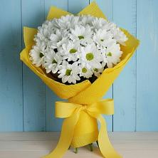 Букет цветов из:  Хризантемы в Чистеньком