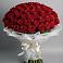 Букет 101 Красная роза Блэк Мэджик в Чистеньком