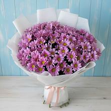 Букет цветов из:  Хризантемы в Чистеньком