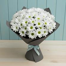 Букет цветов из:  Хризантемы #REPLACE_PRED# Чистеньком