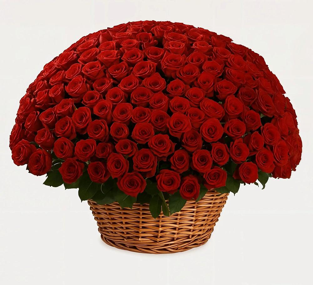 Премиум букет из: Розы в Чистеньком