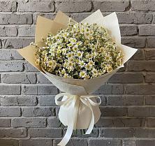 Букет цветов из:  Ромашки в Чистеньком