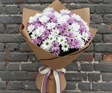 Букет цветов из:  Хризантемы в Чистеньком