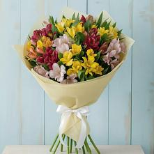 Букет цветов из:  Альстромерии в Чистеньком