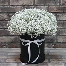 Цветочная композиция из Гипсофила в шляпной коробке в Чистеньком