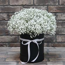 Цветочная композиция из Гипсофила в шляпной коробке в Чистеньком