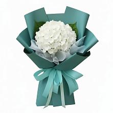 Букет цветов из:  Гортензия в Чистеньком